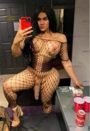 7034599289, transgender escort, Baltimore